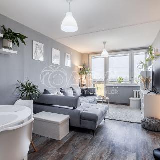 Prodej bytu 2+kk 45 m² Praha, Petržílkova