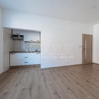 Pronájem bytu 2+kk 58 m² Praha, U tvrze