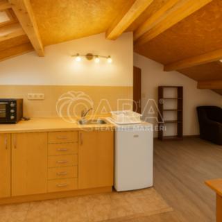 Pronájem bytu 1+kk a garsoniéry 20 m², Na Zahradách