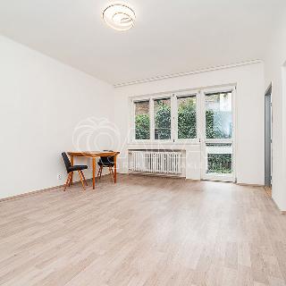 Pronájem bytu 1+1 44 m² Praha, Vratislavova