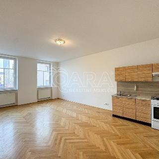 Pronájem bytu 2+kk 48 m² České Budějovice, Chelčického