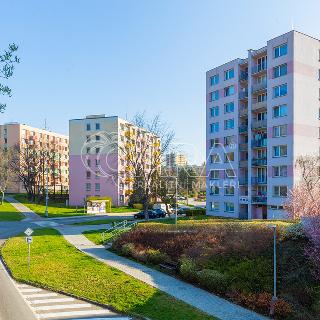 Prodej bytu 1+kk a garsoniéry 23 m² Prachatice, nám. Přátelství