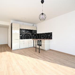 Pronájem bytu 2+kk 52 m² Praha, Jankovcova