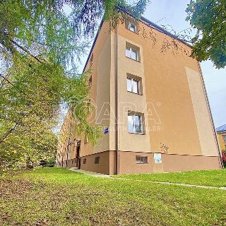 Pronájem bytu 1+1 35 m² Ostrava, náměstí Gen. Svobody