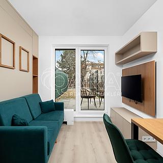 Pronájem bytu 1+kk, garsoniery 20 m&sup2; Brno