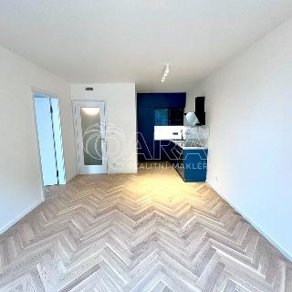 Pronájem bytu 2+kk 45 m² Praha, Albrightové