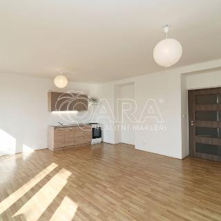 Pronájem bytu 2+kk 6 m² Praha, Farní