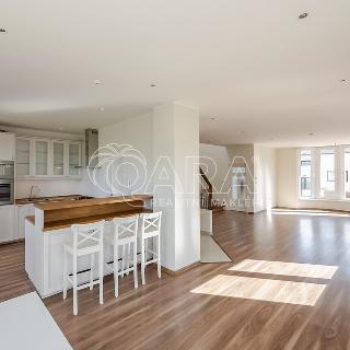 Pronájem bytu 5+kk 286 m² Horoměřice, Habrová