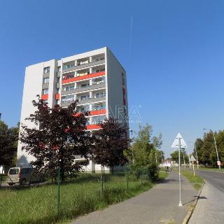 Pronájem bytu 1+1 35 m², Blahoutova