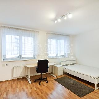 Pronájem bytu 1+kk a garsoniéry 32 m² Praha, Na žertvách