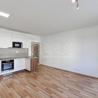 Pronájem bytu 2+kk 46 m² Praha, Oty Bubeníčka