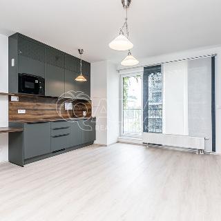 Prodej bytu 1+kk a garsoniéry 36 m² Praha, Nad úžlabinou