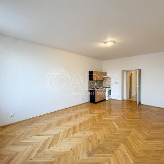 Pronájem bytu 2+kk 48 m² České Budějovice, Chelčického