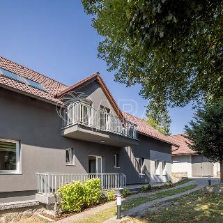 Prodej rodinného domu 298 m² Chrášťany