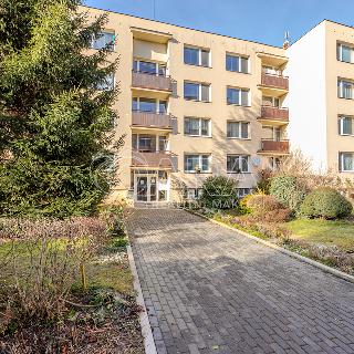 Pronájem bytu 2+1 42 m² Benešov, Jana Švermy