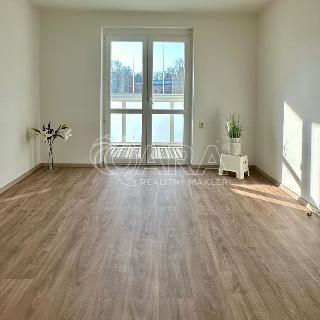 Pronájem bytu 2+1 49 m² Ostrava, Sarajevova