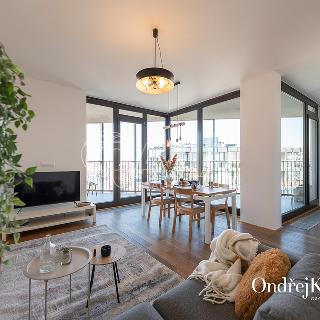 Pronájem bytu 3+kk 132 m² Praha, Malešická