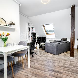 Prodej bytu 1+kk a garsoniéry 40 m² Praha, Plzeňská