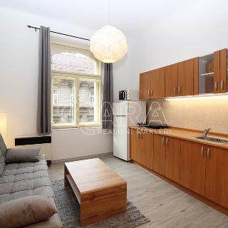 Pronájem bytu 1+kk a garsoniéry 24 m² Praha, Lidická