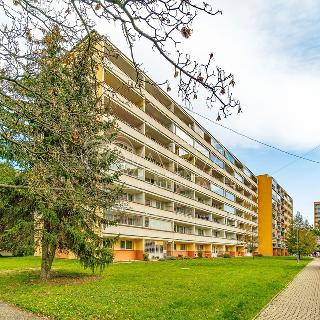 Prodej bytu 3+1 69 m² Kralupy nad Vltavou, Přemyslova