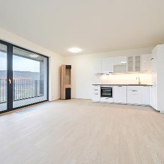 Pronájem bytu 4+kk 113 m² Praha, Mezi vodami