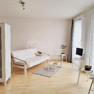 Prodej bytu 1+kk a garsoniéry 40 m² Praha, U Zátiší