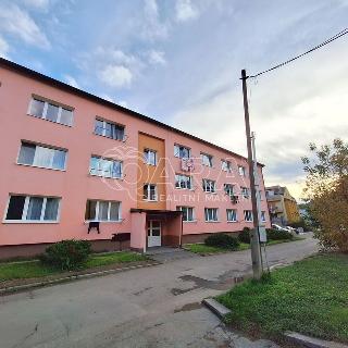 Prodej bytu 1+1 40 m² Vrané nad Vltavou, U Elektrárny