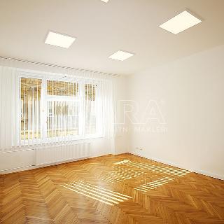 Pronájem kanceláře 24 m² Praha, Vodičkova