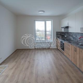 Pronájem bytu 2+kk 49 m² Praha, Oldřichovská