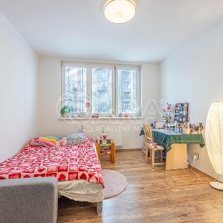 Pronájem bytu 1+kk a garsoniéry 14 m² Kladno, Vrchlického