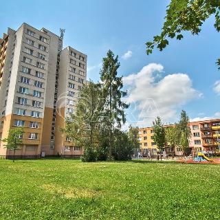 Prodej bytu 3+1 68 m² Ostrava, Na Fojtství