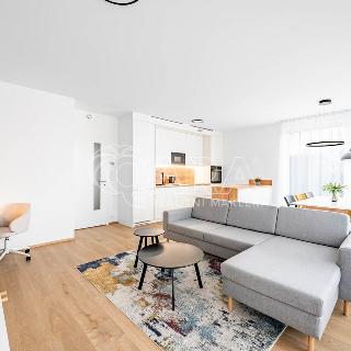 Pronájem bytu 3+kk 77 m² Praha, Litoměřická