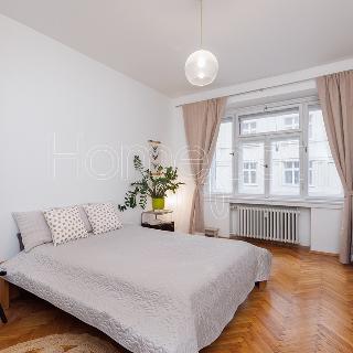 Prodej bytu 1+1 50 m² Praha, Haškova