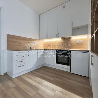 Pronájem bytu 1+kk a garsoniéry 45 m² Brno, Údolní