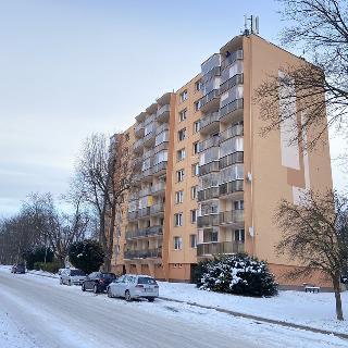 Pronájem bytu 3+1 74 m² Vyškov