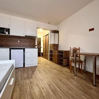 Pronájem bytu 1+kk, garsoniery 25 m² Brno