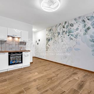 Pronájem bytu 1+kk a garsoniéry 20 m² Písek, 17. listopadu