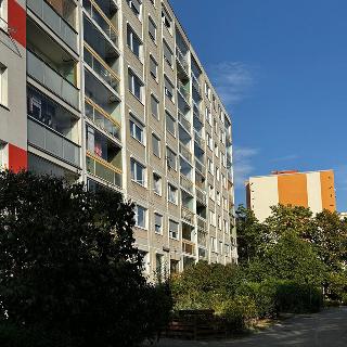 Pronájem bytu 2+kk 41 m² Praha, Daškova