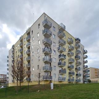 Pronájem bytu 1+kk a garsoniéry 43 m² Praha, Wiedermannova