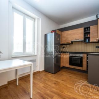 Pronájem bytu 1+1 45 m² Praha