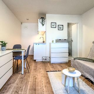 Pronájem bytu 1+kk a garsoniéry 17 m² Praha, Frostova