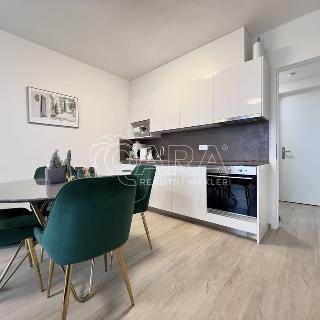 Pronájem bytu 1+kk a garsoniéry 34 m² Brno, Jižní