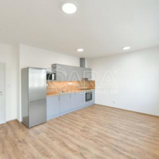 Pronájem bytu 2+kk 49 m² Poděbrady