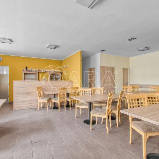 Prodej hotelu a penzionu 498 m² Slezské Rudoltice, 