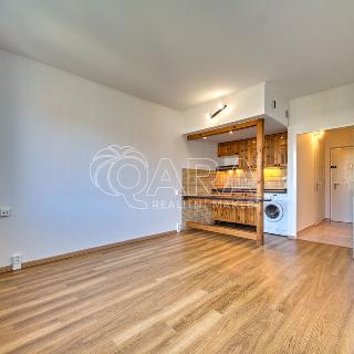 Pronájem bytu 1+kk a garsoniéry 27 m² Praha, Bítovská