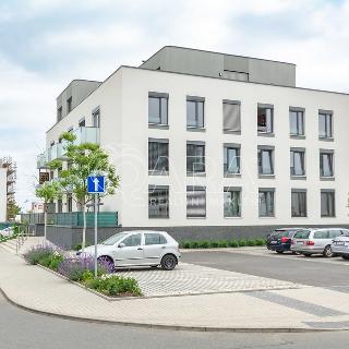 Pronájem bytu 2+kk 49 m² Praha, Oldřichovská