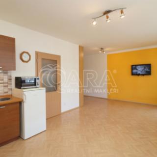 Pronájem bytu 1+kk, garsoniery 42 m² Praha