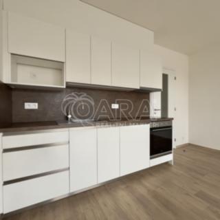 Pronájem bytu 2+kk 58 m² Brno