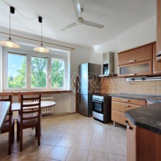 Pronájem bytu 1+1 54 m² Praha, Ruská