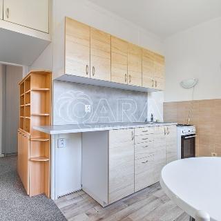 Pronájem bytu 2+1 57 m² Ostrava, Opavská